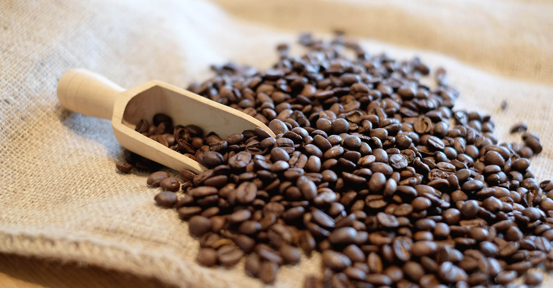 Gute Kaffeebohnen: Die Perfektion des Kaffeegenusses